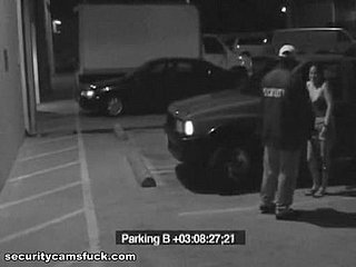एक सुरक्षा कैमरे द्वारा पकड़ी गई पार्किंग लॉट एक्शन