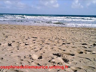 Josefina da Ilha Maurícia: Faça xixi em Cover humbly d'Agde thimbleful inverno
